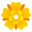 :rosette: