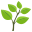 :herb: