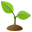 :seedling: